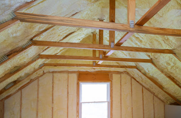 Best Specialized Insulation Services in Millington, TN