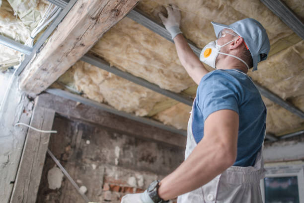 Best Cellulose Insulation in Millington, TN
