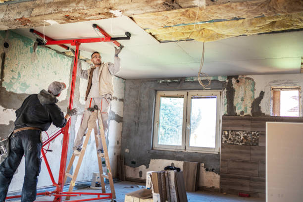 Best Cellulose Insulation in Millington, TN